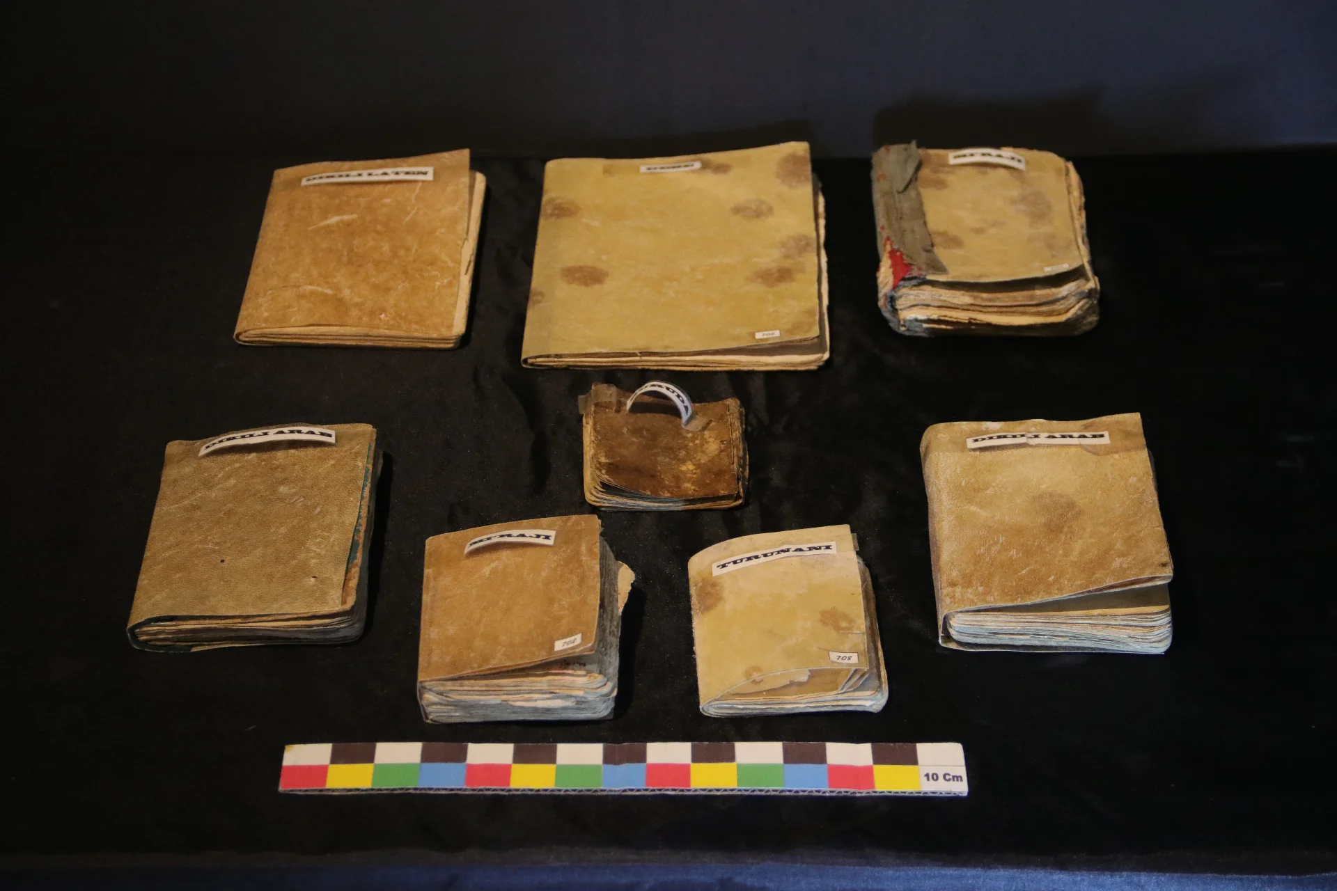 Filologi