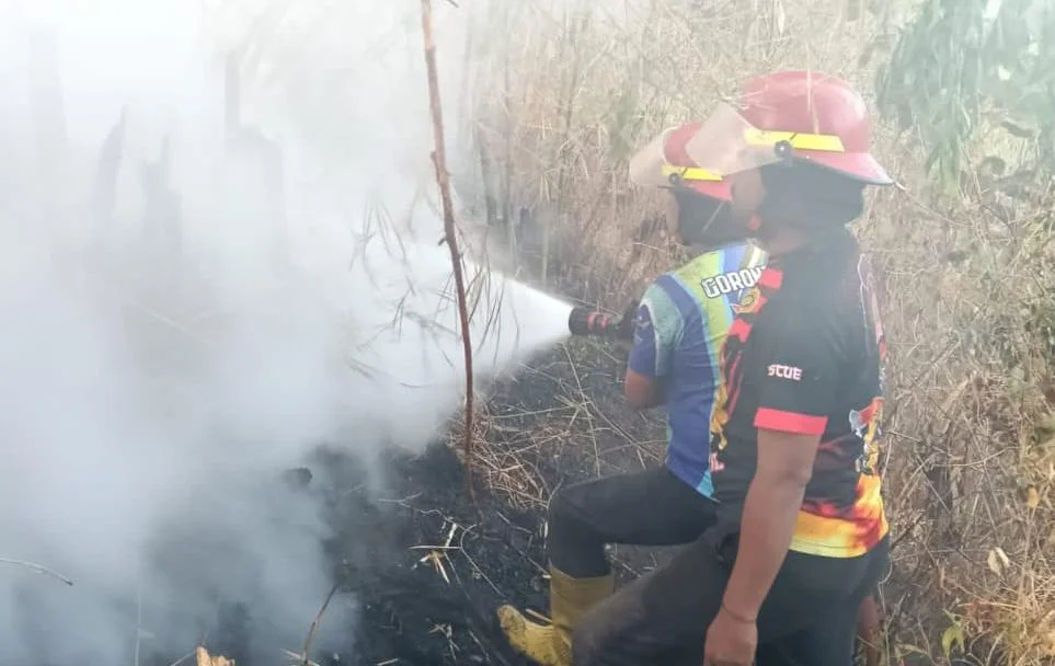 Alarm Kebakaran Lahan, BPBD Gorontalo Catat 77 Kejadian hingga 6 September