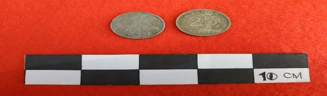 Koin 25 Rupiah Tahun 1971 bergambar Burung Mambruk Victoria 