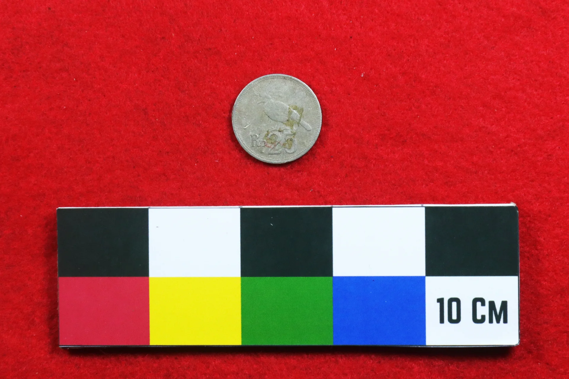 Koin 25 Rupiah Tahun 1971 bergambar Burung Mambruk Victoria (Goura Victoria)