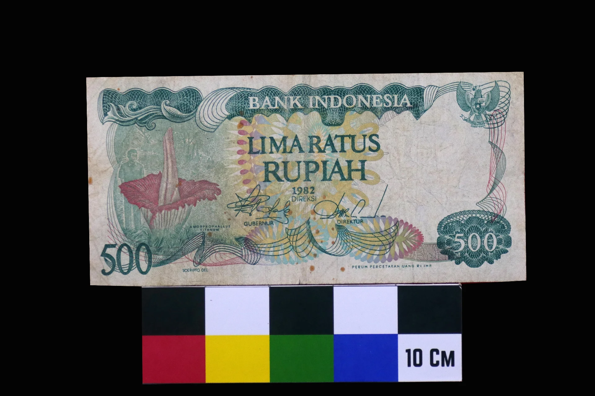 Uang Kertas 500 Rupiah Tahun 1982 Bergambar Bunga Bangkai 