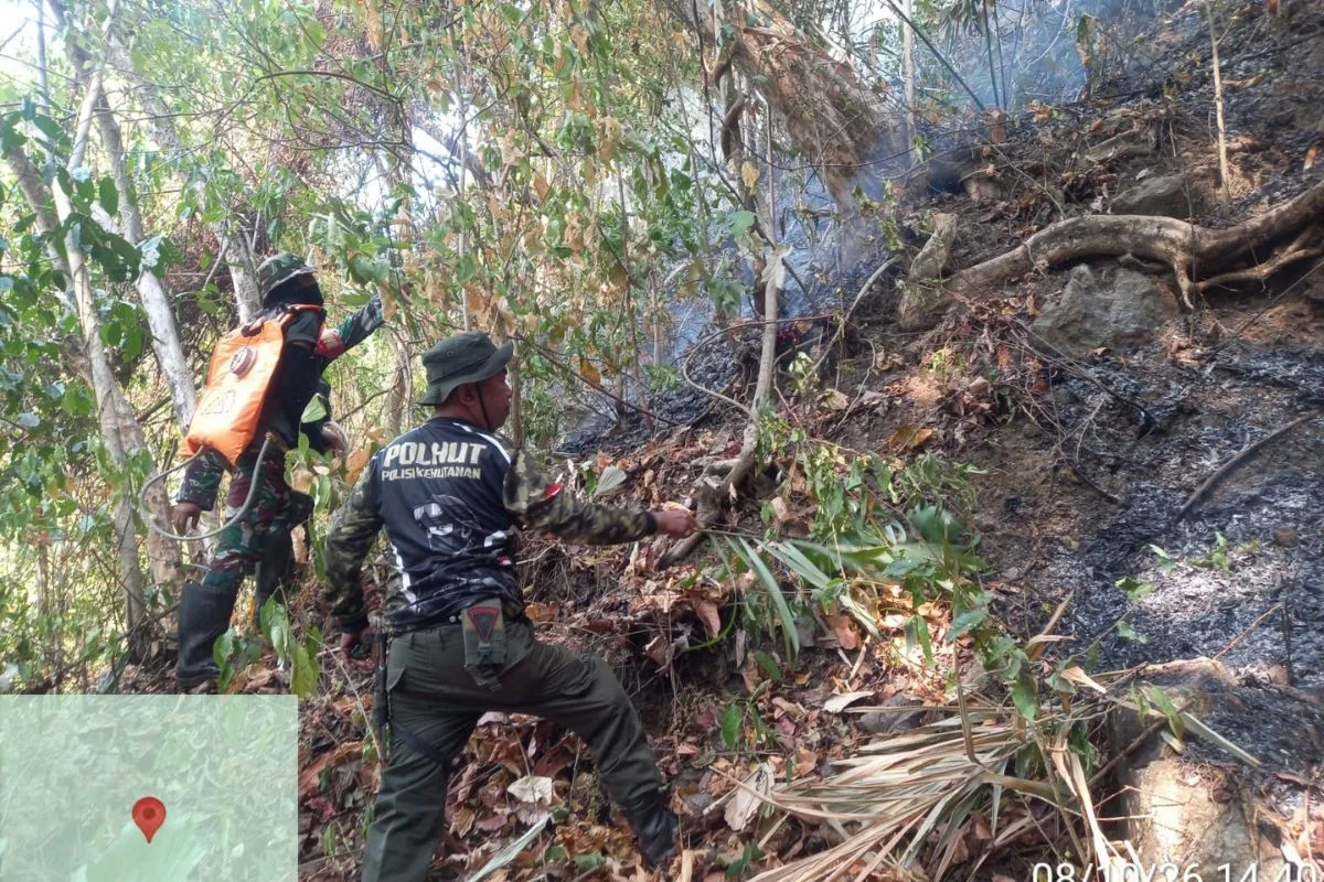 Gerak Bersama Cegah Api Meluas, KPH VII dan Tim Gabungan Tangani Kebakaran Lahan di Bone Pantai
