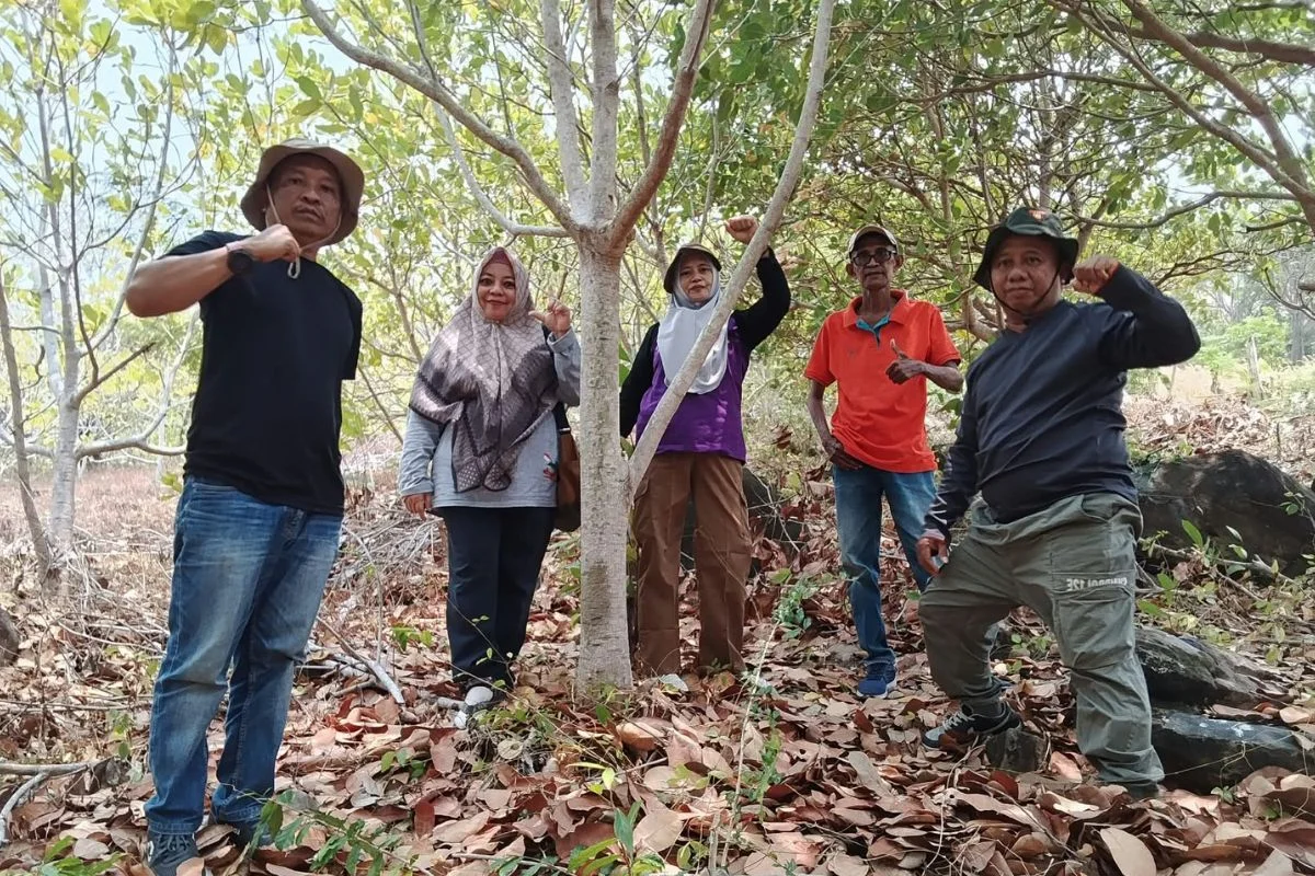 Dorong Kemandirian Kelompok, KPH V Boalemo Petakan Potensi HHBK IUPHKm Pontolo Iloheluma